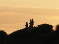 Dusk 16th Beach Rye